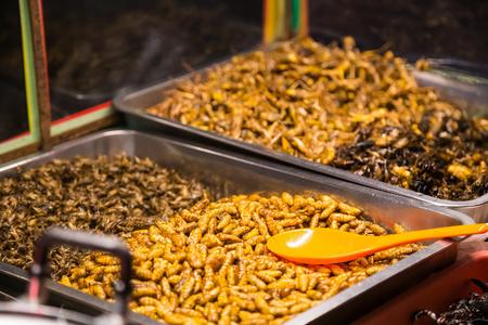 油炸昆虫像虫子, 蝗虫, 幼虫, 毛虫和蝎子销作为食品街上芭堤雅,泰国